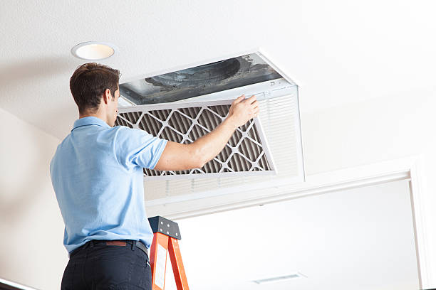 Best Air Filters and Purifiers in Colby, KS